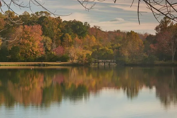 Bench and lake view in Ford's Colony