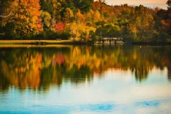 JPG-Photo-Events-Bench-by-Lake-2