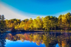 fallpond-2